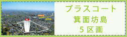 プラスコート箕面坊島